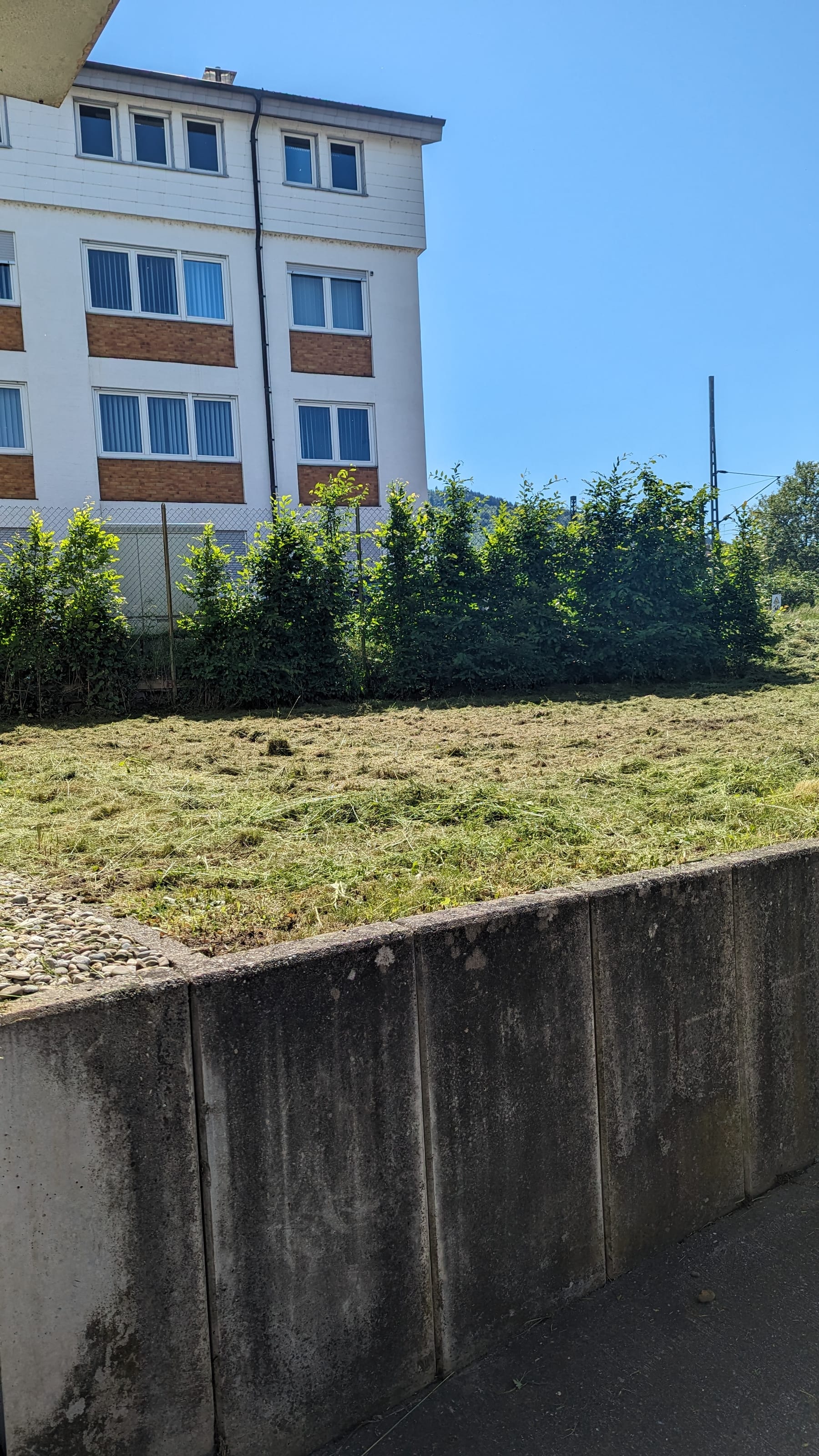 Dasselbe Grundstück nach dem Mähen
